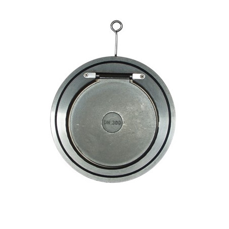 CLAPET ANTI-RETOUR À BATTANT WAFER DN200