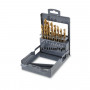 SATZ 19 HSS-ZINN BOHRER 1-10 MM - 414/SP19