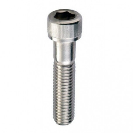 VITE 6X20  INOX UNI5931