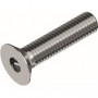 VITE 6X40 INOX T. SVASATA E.I. UNI5933