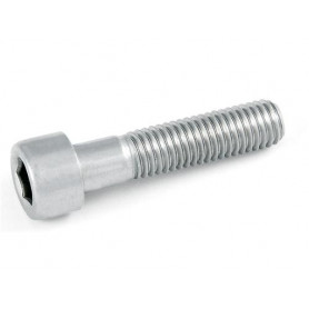 VITE BRUGOLA 6X30 INOX UNI5931