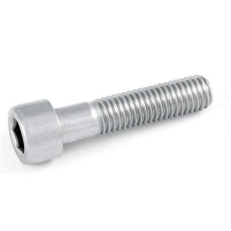 VITE BRUGOLA 8X35 INOX UNI5931