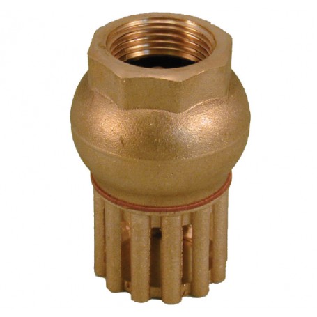 BOTTOM VALVE WITH SANDBLASTED SUCKER 2''1/2