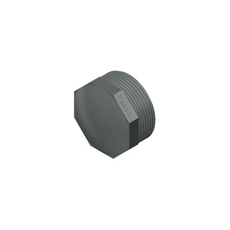 PVC CAP 2 1/2
