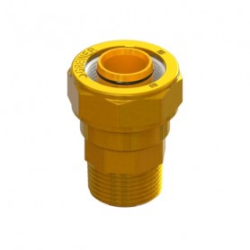 RACCORDO OTTONE PE CORAZZATO D.32 X 1'' MASCHIO