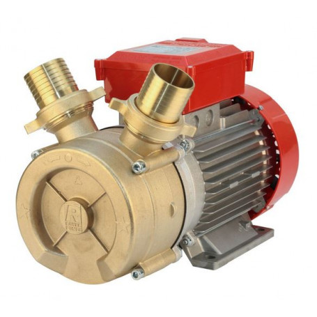 E/PUMPE ROVER BE-M50 HP.3 V.220