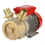 E/PUMPE ROVER BE-M50 HP.3 V.220
