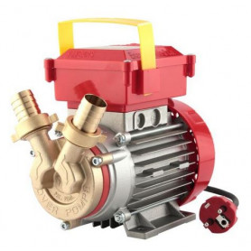 E/PUMP ROVER 25 HP.0.8 V.220