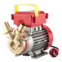 E/PUMP ROVER 25 HP.0.8 V.220