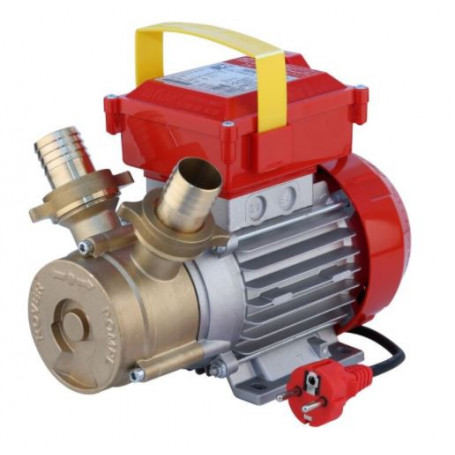 ELEKTRISCHE FÖRDERPUMPE ROVER 35 CE HP0.9 V.220