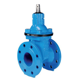 RACI SARACINESCA CORPO OVALE DN200 PN16 CUNEO GOMMATO