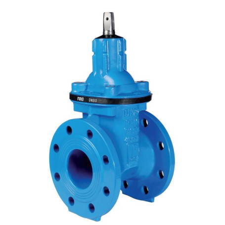 RACI SARACINESCA CORPO OVALE DN200 PN16 CUNEO GOMMATO