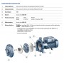 ELETTROPOMPA PEDROLLO TURBOm 6B CENTRIFUGA BIGIRANTE | 1.5 kW - 2 HP | 230V 50Hz