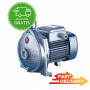 ELECTRIC PUMP PEDROLLO CPm130 V220-230/50Hz