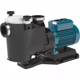 CALPEDA ELEKTRISCHE PUMPE MPCM 31/A - V. 230/50 Hz TUV