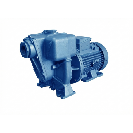 ALPHA POMPE ÉLECTRIQUE AUTO-AMORÇANTE À ROUE OUVERTE 03RA/SG-T 400V KW2,2