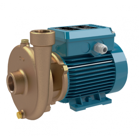 CALPEDA BCM 22/A CENTRIFUGAL ELECTRIC PUMP MONOBLOC BRONZE IMPELLER V.230