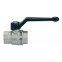 ASTER BALL VALVE 1/2 F/F LEVER