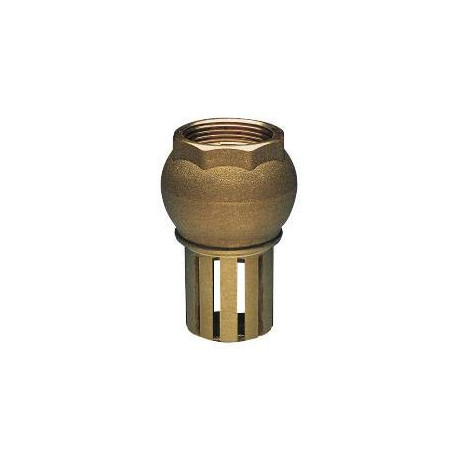 SOUPAPE DE PIED AVEC CRÉPINE SAB. 2''