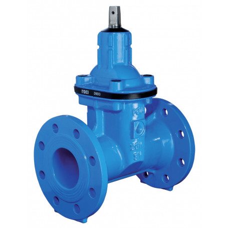 RACI GATE VALVE OVAL BODY DN300 PN10 RUBBERIZED WEDGE