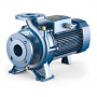 PEDROLLO F40/125B V.400 POMPE ÉLECTRIQUE - CENTRIFUGE STANDARDISÉE