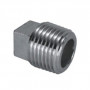 SQUARE HEAD CAP 1/8'' STAINLESS AISI 316