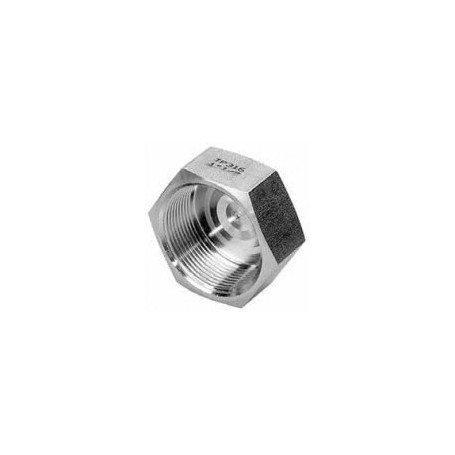 STAINLESS STEEL HEX CAP 4'' - AISI 316
