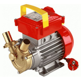 ROVER 25 HP.0.8 V.220 BY-PASS ELEKTRISCHE PUMPE