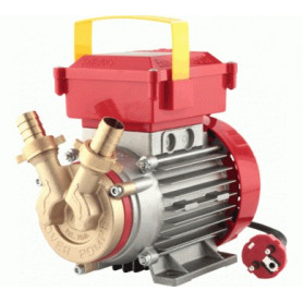 ROVER 20 HP.0.5 V.220 ELECTRIC PUMP