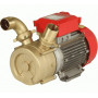 ROVER ELEKTROPUMPE BE-T50 HP.3 V.400