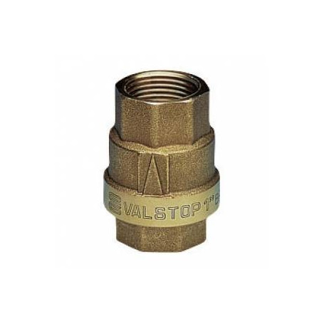 CHECK VALVE FF PASS TOT SABB. 1/4''