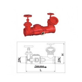 GROUP ATT. MOTOR PUMP UNI 70X2 1/2 HORIZ. OF LINE