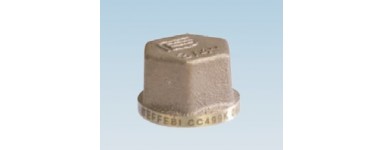 GELBE BRONZEKAPPEN - F