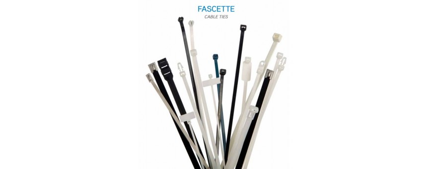 BANDES